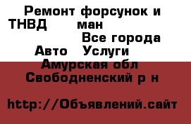 Ремонт форсунок и ТНВД Man (ман) TGA, TGL, TGS, TGM, TGX - Все города Авто » Услуги   . Амурская обл.,Свободненский р-н